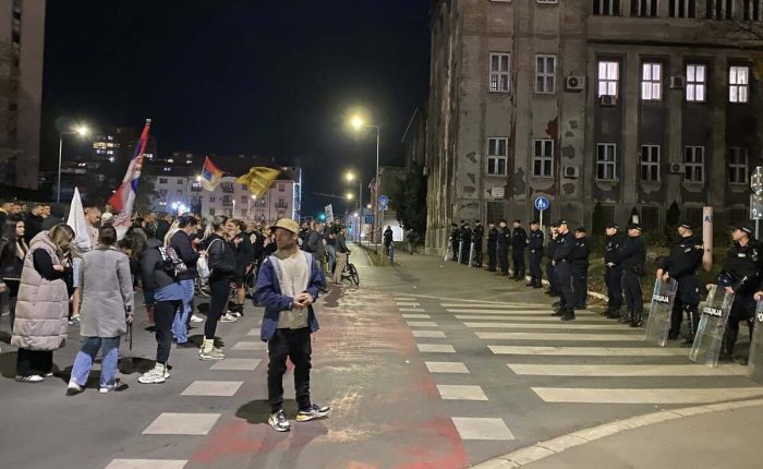 protest Dijana Hrka SNS