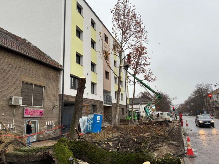 Bačkotopolski taksista na čije se vozilo obrušilo drvo stabilno, uklonjena sva stabla ispred nekadašnjeg hotela “Panonija”