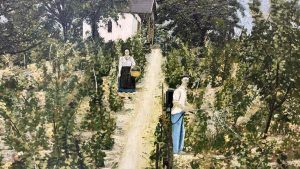 Slika Nađapati Kukac Petera