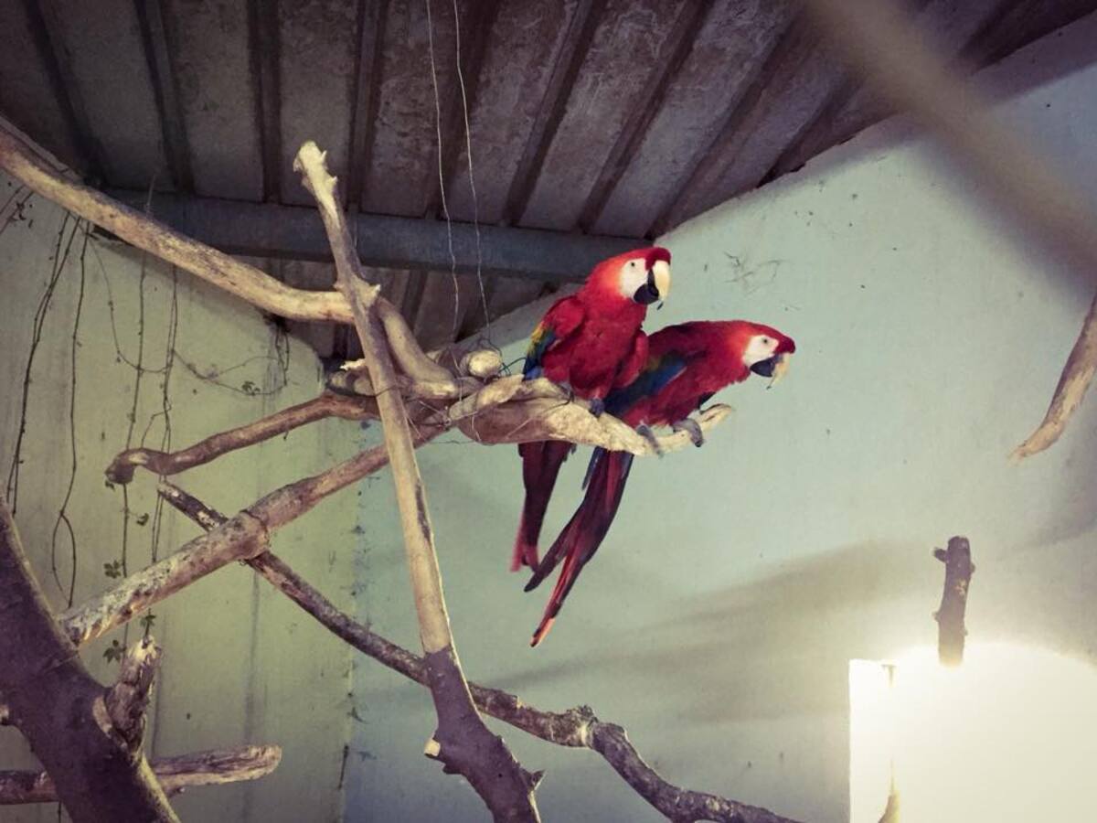 Tužilaštvo formiralo predmet zbog više prijava o ZOO-vrtu “Palić”, naloženo veštačenje