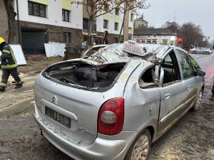 taksista drvo Backa Topola