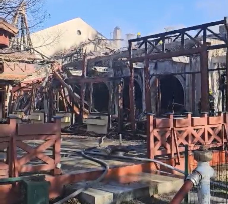 OJT Subotica: Postoje osnovi sumnje da je objekat „Mala gostiona“ na Paliću namerno zapaljen